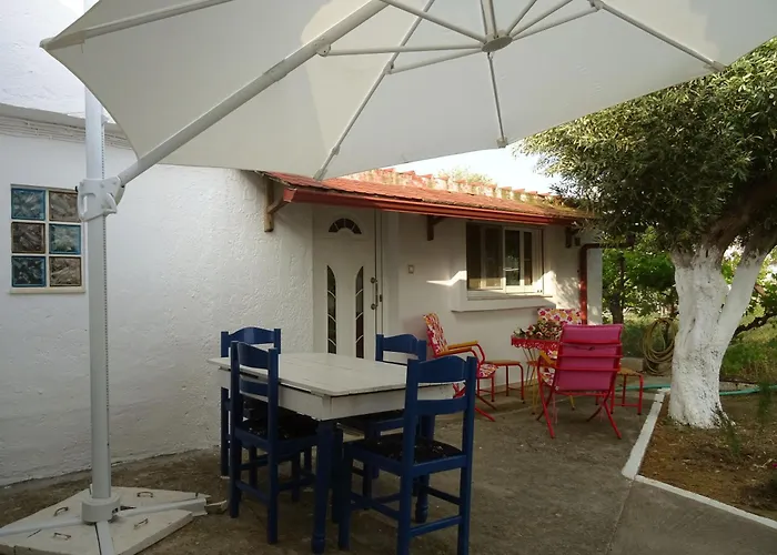 Nadia's House 2 * 阿凡投